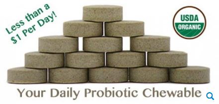 Sunbiotics Organic Potent Probiotic & Prebiotic Tablets - 30 count (3-Pack)
