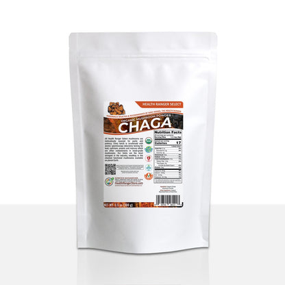 Organic Chaga Mushroom Powder 100g