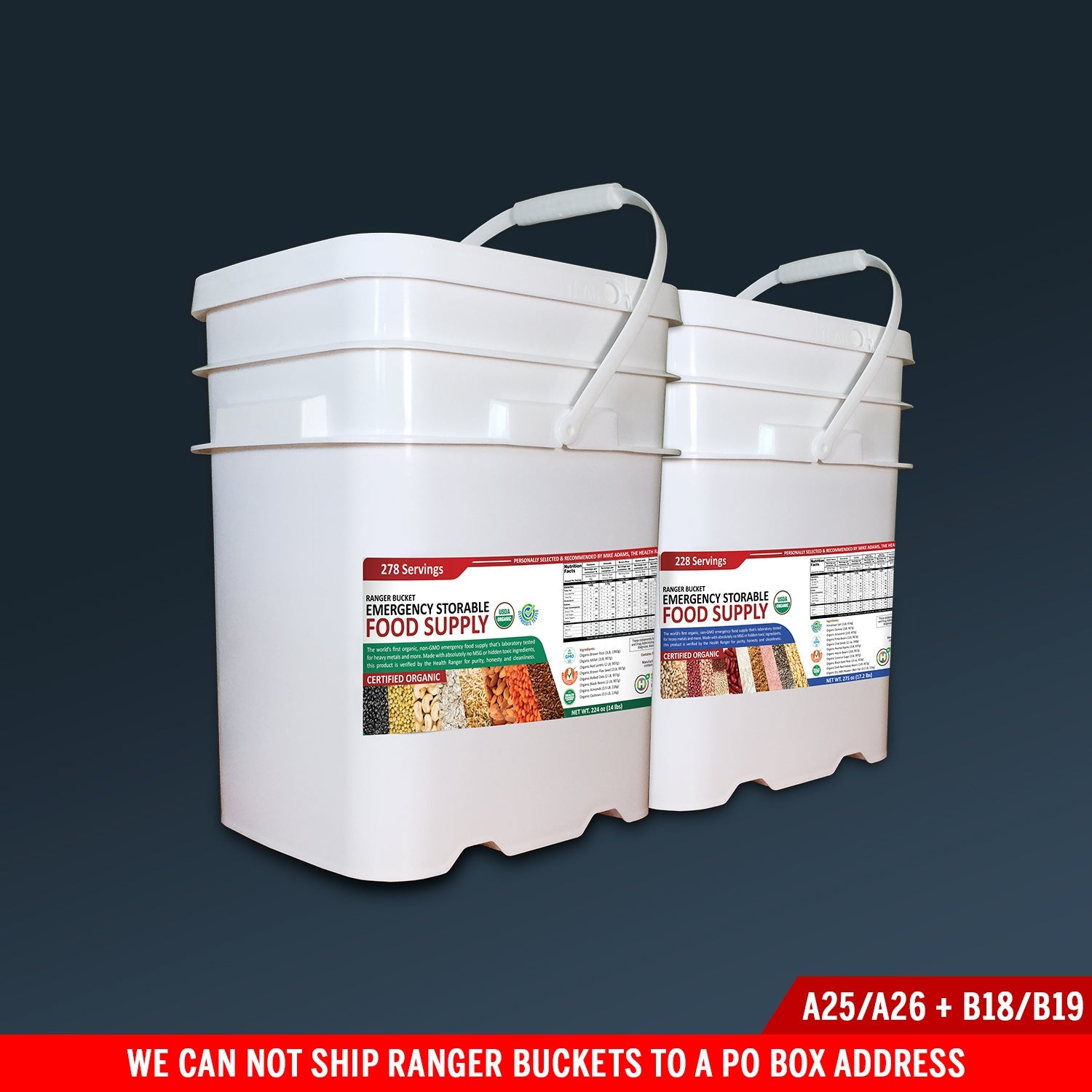 (506 Servings) Ranger Bucket Set - Organic Emergency Storable Food Supply (A25/A26 + B18/B19)