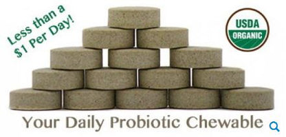 Sunbiotics Organic Potent Probiotic &amp; Prebiotic Tablets - 30 count